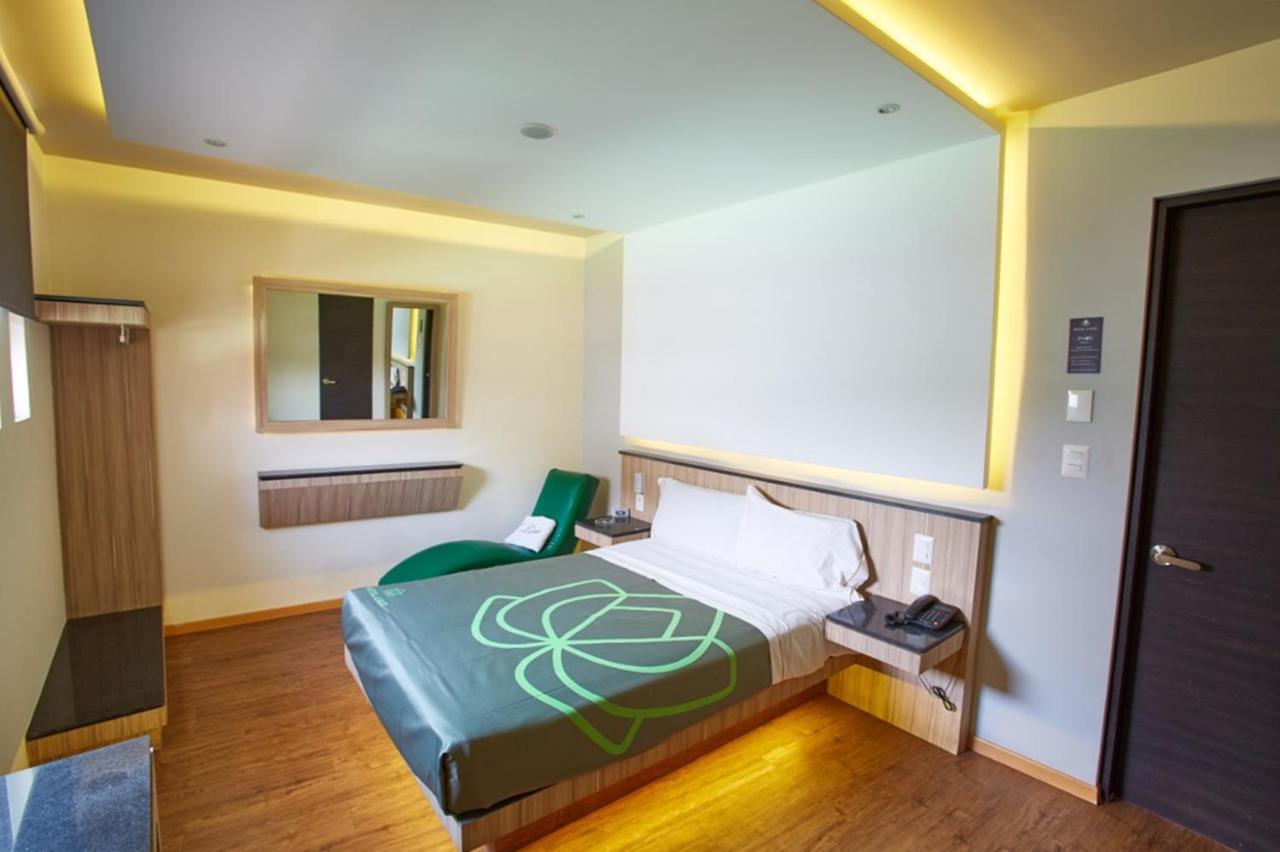Hotel Lirio - Adult Only Meksika Dış mekan fotoğraf